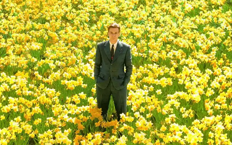 【大鱼big fish】暗香