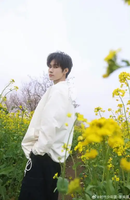 张真源油菜花田照