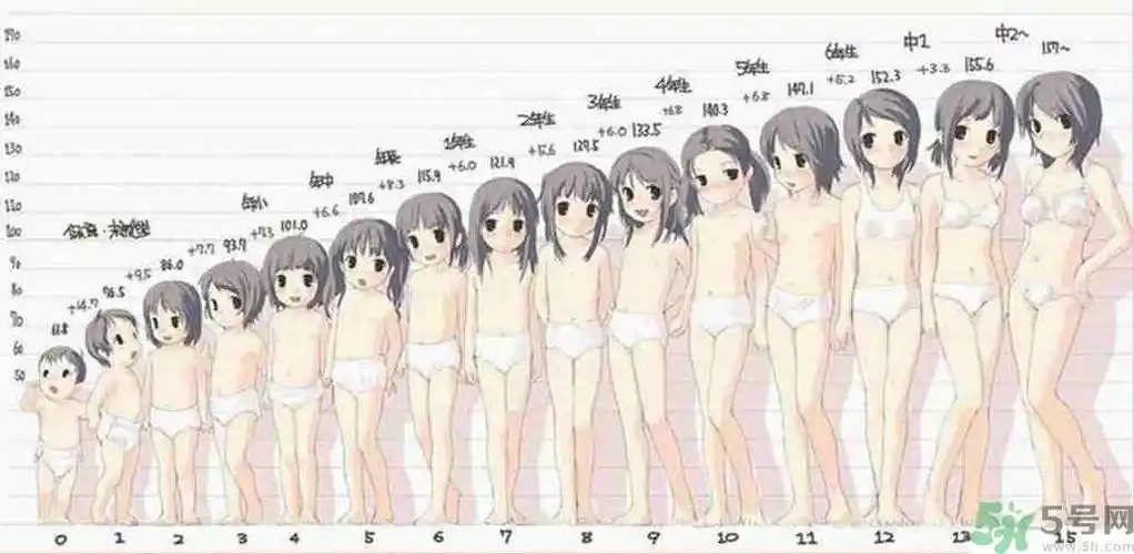 女生的发育过程是什么样的