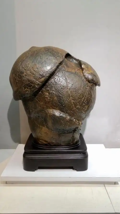 神奇的来宾水冲石胆石