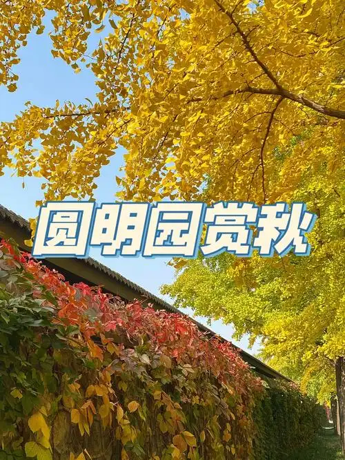北京的秋天圆明园赏秋小指南