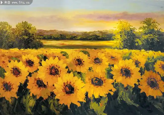 向日葵水彩画高清图片素材