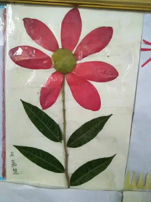 师集小学二年级"叶贴画"展览