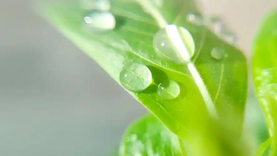 【x23拍摄样张】时光浅念