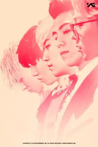 图片卡(随机)   拼图(随机)   海报                  bigbang mede