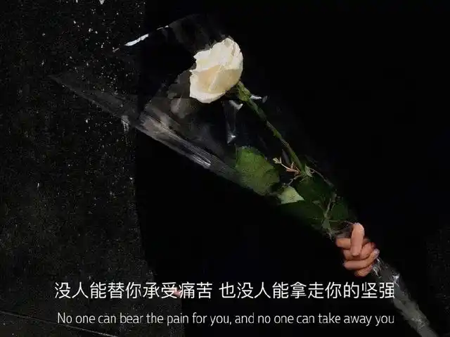 尽显成熟的智慧文案,唯美有深度,让人回味