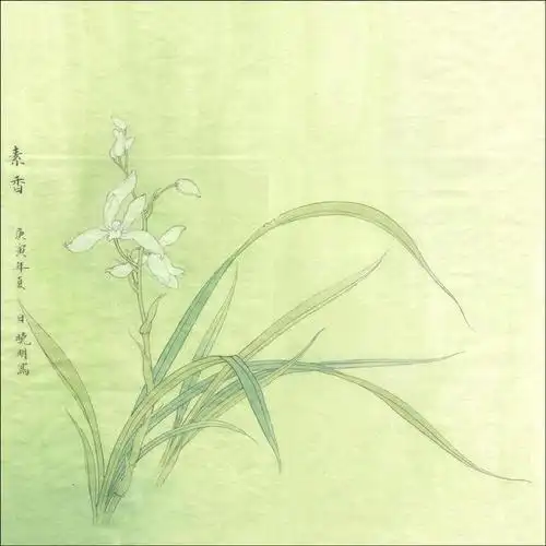 李晓明工笔兰花技法绘制步骤工笔兰花画法步骤图文详解