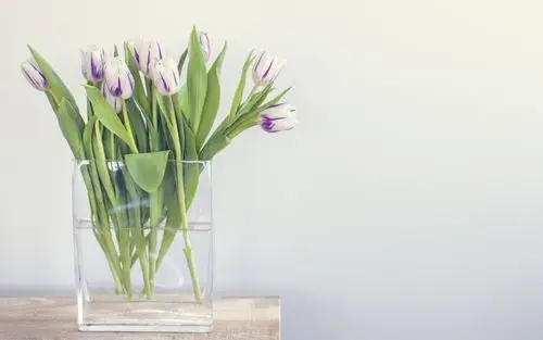 清新文艺花瓶居家静物图片电脑壁纸_高清壁纸_壁纸下载_美桌网