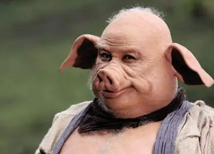 在古典名著《西游记》中,猪八戒的形象深入人心,他原本是天蓬元帅