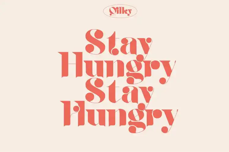 时尚复古品牌徽标logo海报标题设计衬线英文字体素材 qilky font