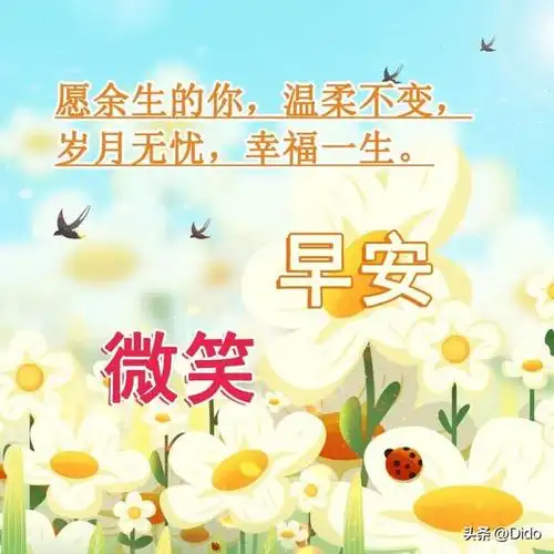 特别温暖感动的一句话给朋友,日常让人温暖的朋友圈文案 - 冷求网