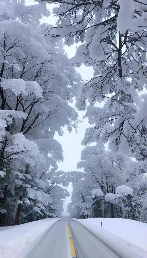 北方多地下起了大雪,拍摄雪景来了