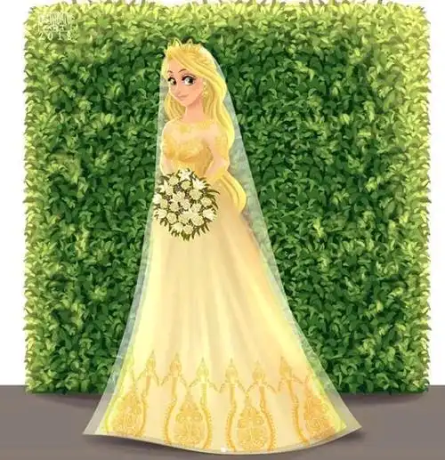 迪士尼公主的婚纱
