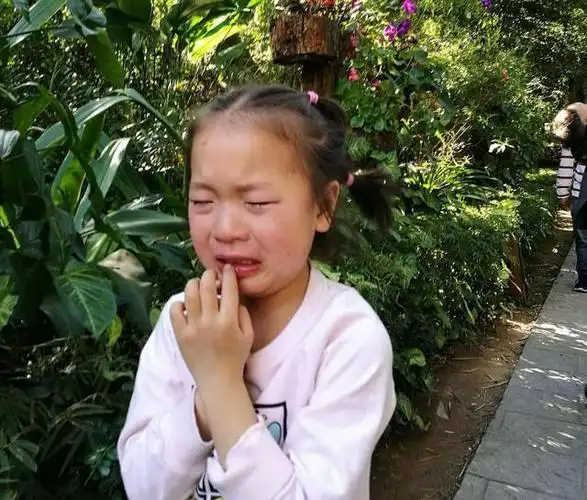 残酷卖了大水牛小女孩哭得撕心裂肺爸爸成了十恶不赦的罪人