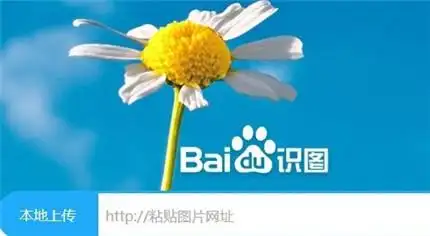 百度识图查图片出处怎么查 百度识图查图片信息教程