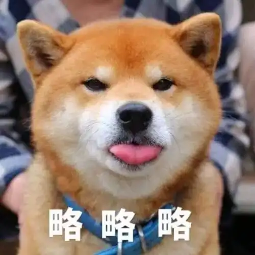 【表情包】霸道柴总的沙雕日常