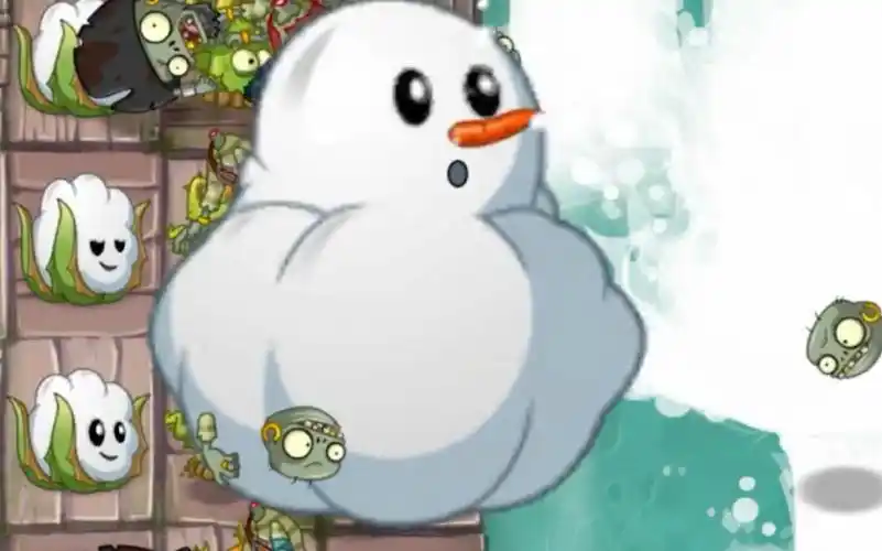 「pvz」棉小雪过海盗22