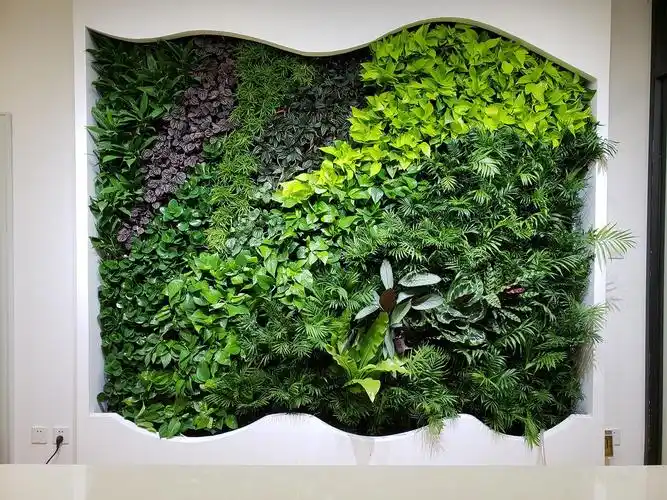 植物墙,北京植物墙,绿植墙,垂直绿化2018年案例欣赏,喜森生态出品