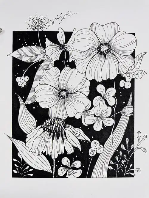 no63黑白装饰画针管笔练习植物手绘