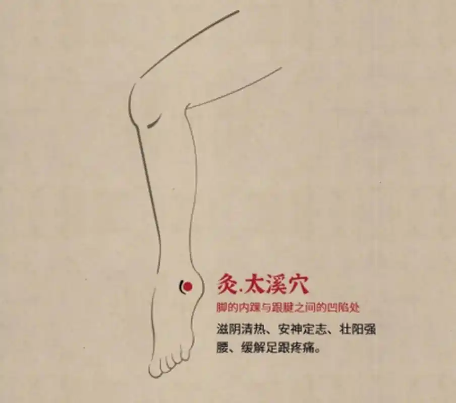 太溪穴属足少阴肾经,也是肾经的输穴和原穴.太,意即甚大,溪,即沟溪.