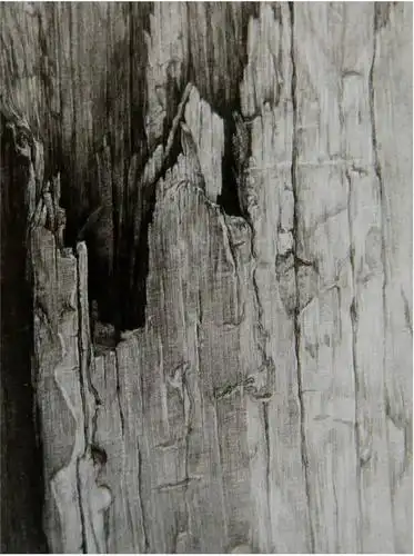 素描怎样在设计素描中画出静物质感六类质感训练一学就会