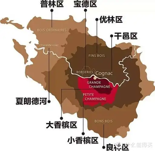 系列名称外,最显眼的便是"cognac"字样,表示这支白兰地来自"干邑产区"