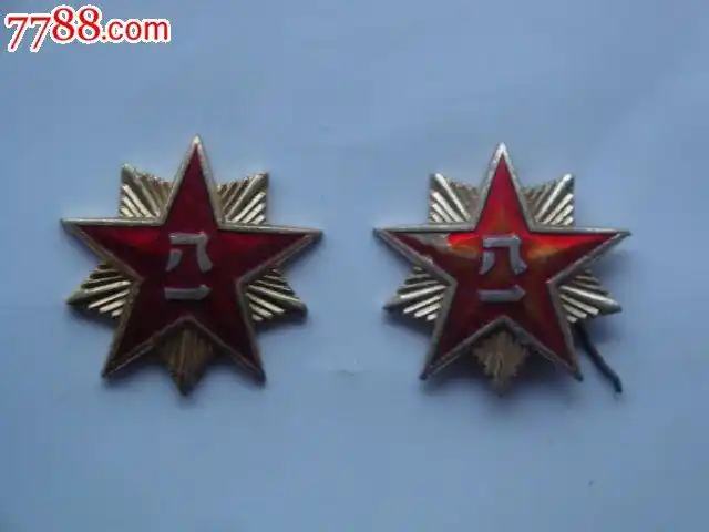 解放军八一领花一副