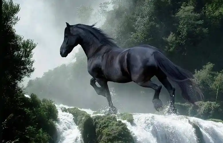 中国古代为主牺牲的四匹宝马,三匹出生在三国,一匹属于项羽_主人_历史