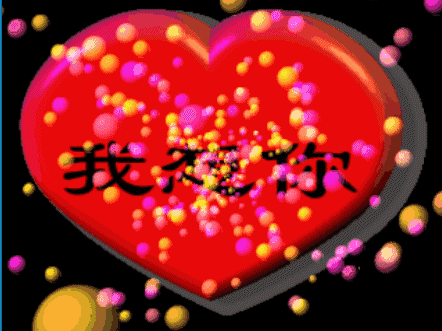 0253:我想你了:你是我最爱的人