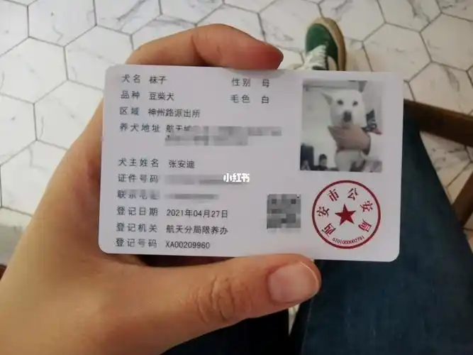 办理狗证狗狗不需要到场带上狗狗疫苗证手机里有狗狗正面照片就可以
