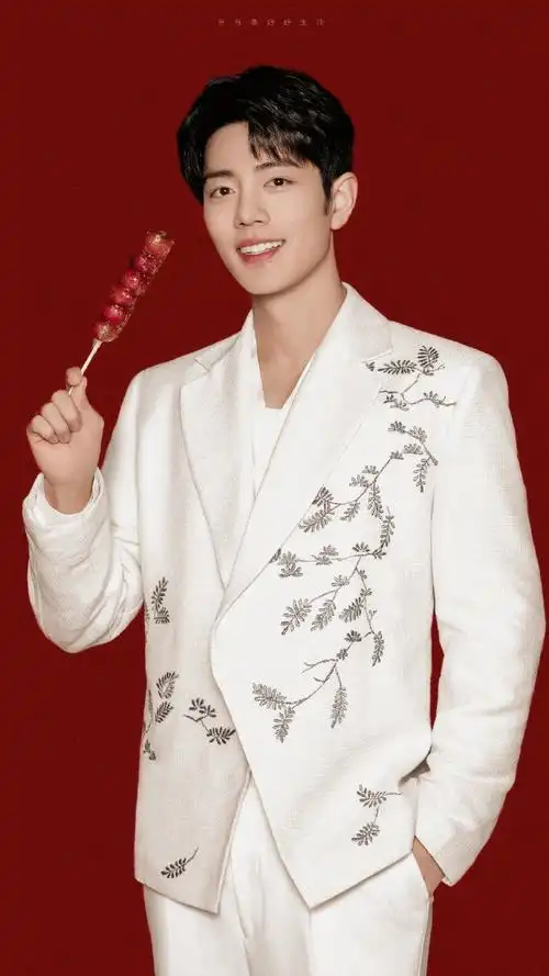 肖战##肖战北京台春晚海报