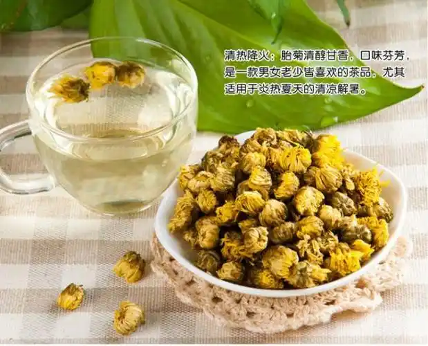 胎菊的功效禁忌及冲泡方法