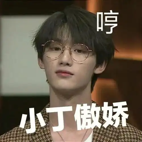 丁程鑫表情包266弹