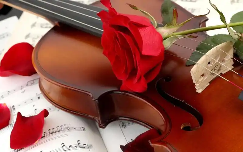 小提琴壁纸