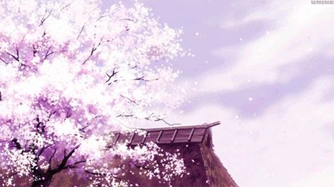 gif动图,萌,古风,风景,食物,二次元…… - 堆糖,美图壁纸兴趣社区