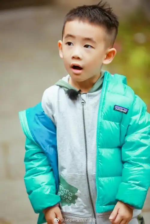 壁纸《爸爸去哪儿》陈小春儿子jasper小小春