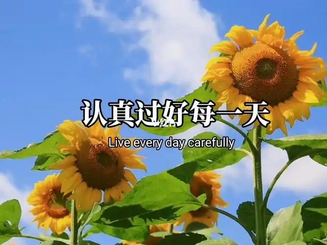 保持积极心态过好美好人生