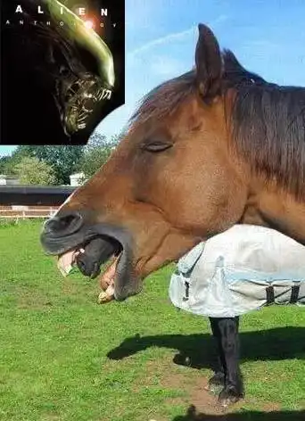 令人爆笑的马囧时刻_高清图集_新浪网