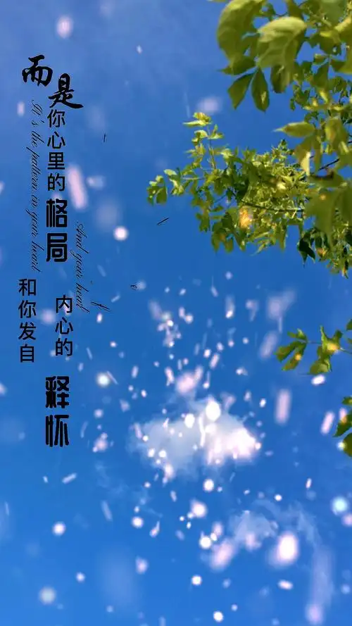 扎心情感语录#能将你从低谷里拖出来的,不是时间,而是格局,是释怀