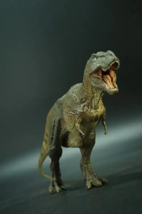 百元暴龙pkrebor暴龙尸本心迅猛龙