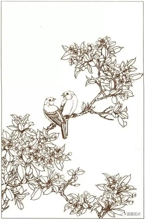 白描花鸟(花鸟国画图片)