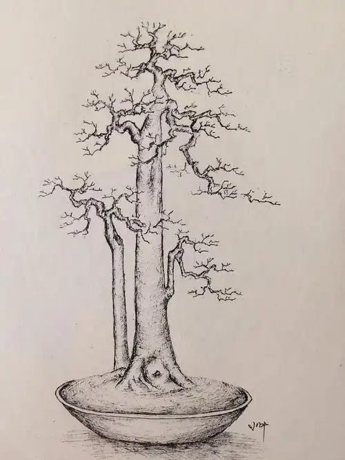 手绘盆景设计图