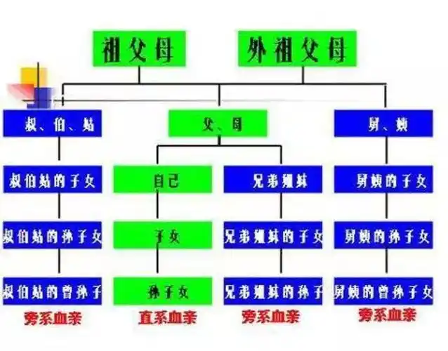 直系亲属包括哪些(直系亲属赠予房产最新政策) -新时代资讯