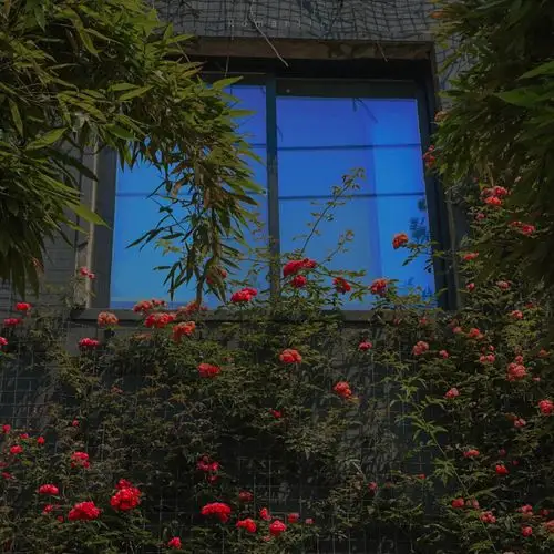 ins风 唯美清新意境微信背景图 - 堆糖,美图壁纸兴趣社区