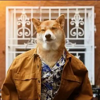 超拽社会狗头_男生头像_我要个性网