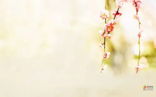 qq风尚壁纸 第十辑