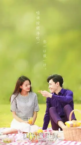 因为遇见你情侣版剧照