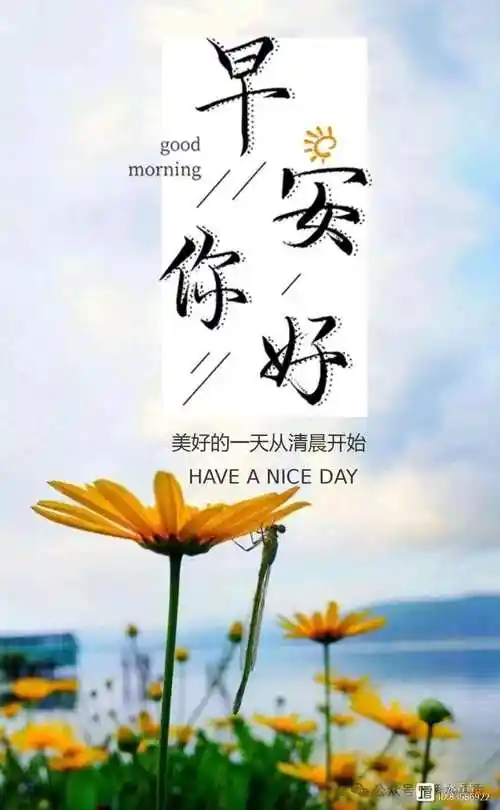 早安,世界!20句清新问候,让你的早晨不再平凡
