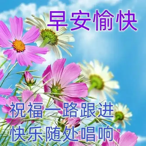 非常漂亮的早上问候动态表情图片唯美温馨 清晨群发早上好问候语