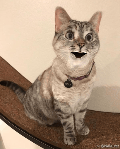 动态表情包 get!让你的五官动起来:mug life #ios